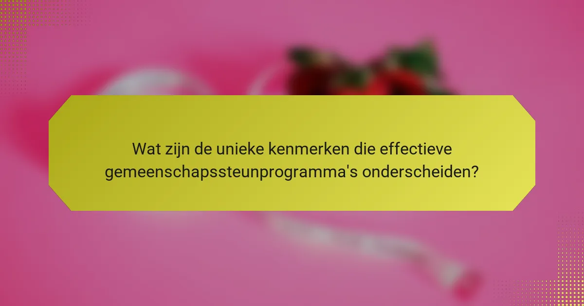 Wat zijn de unieke kenmerken die effectieve gemeenschapssteunprogramma's onderscheiden?